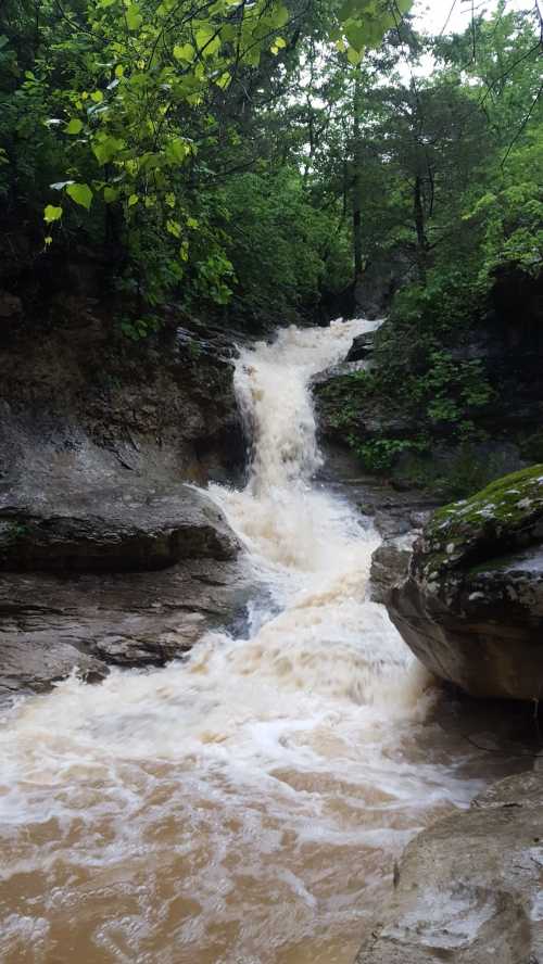 A cascading waterfall flows over rocky terrain, surrounded by lush green trees and a muddy river.