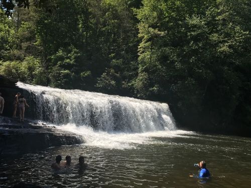 A waterfall cascades into a swimming hole surrounded by lush greenery, with people enjoying the water.
