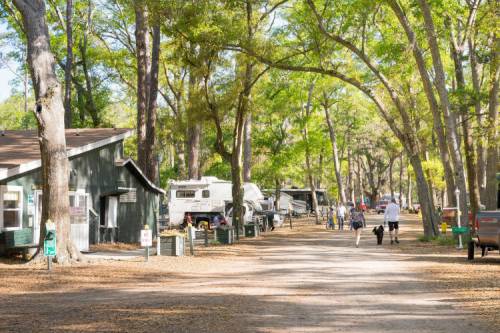 A tree-lined path in a campground with RVs, cabins, and people walking their dogs.