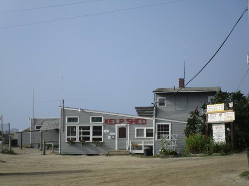 A gray building with "Kelp Shed" sign, surrounded by sand and a few antennas, under a clear blue sky.