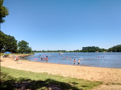 A sunny beach scene with people swimming and relaxing by a calm lake, surrounded by trees and clear blue skies.