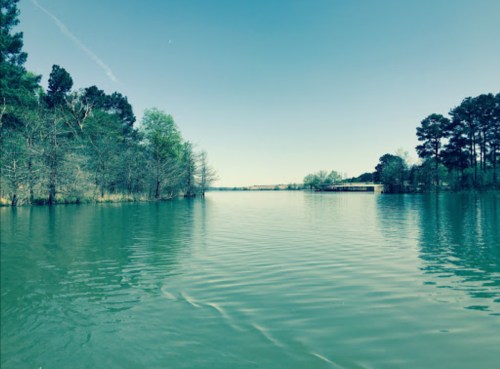 A serene lake scene with calm water, surrounded by trees and a clear blue sky.