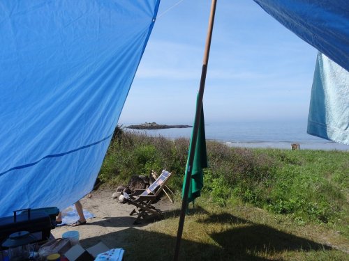 View from a campsite with blue tarps, overlooking a calm sea and grassy shore under a clear sky.