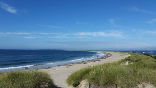 A serene beach scene with gentle waves, sandy shore, and green grass under a clear blue sky.