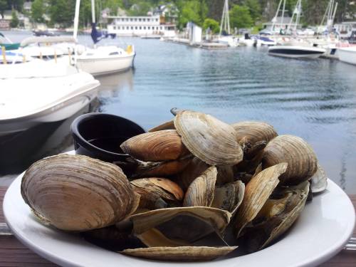 A plate of clams sits on a table by the water, with boats and a marina visible in the background.