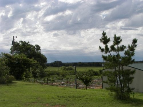 A scenic view of a green field with a garden, trees, and a cloudy sky in the background.