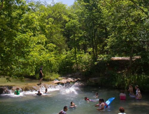 Children and adults play in a natural swimming area surrounded by lush green trees on a sunny day.