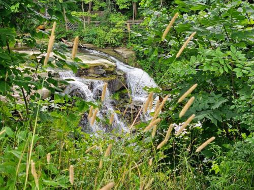 A serene waterfall cascades through lush greenery, framed by tall grasses and vibrant foliage.