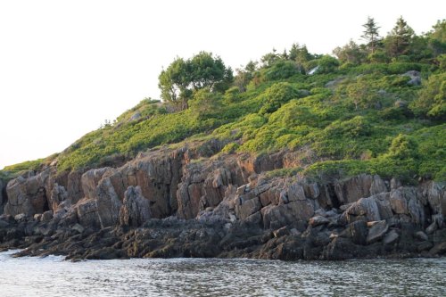 Rocky shoreline with lush greenery on a hillside, reflecting soft light from the setting sun.