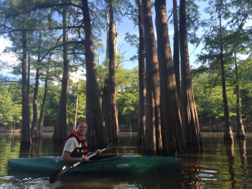 A person in a kayak paddles through a calm lake surrounded by tall trees and lush greenery.