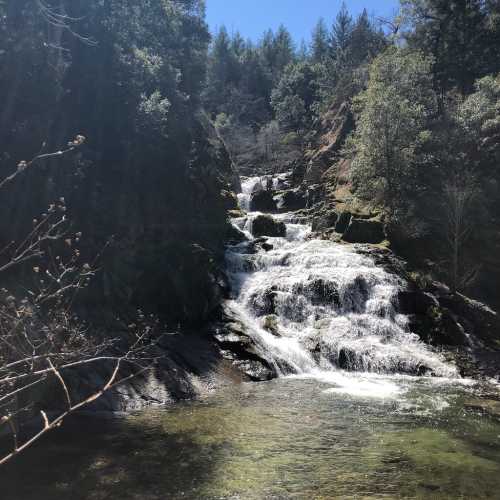 A serene waterfall cascades over rocks, surrounded by lush greenery and tall trees under a clear blue sky.