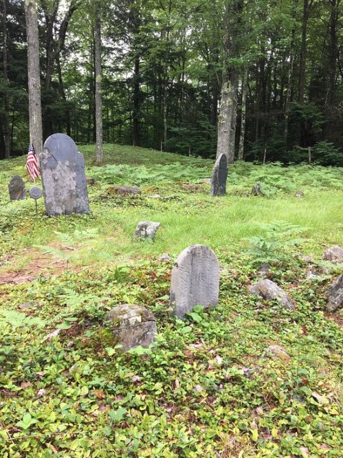 A serene graveyard with several weathered gravestones surrounded by lush greenery and trees. An American flag is visible.