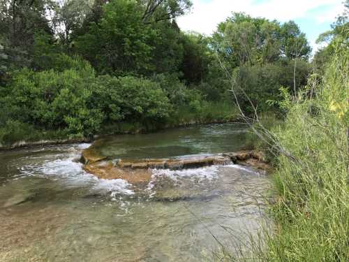 A serene river flows through lush greenery, with gentle ripples and a rocky outcrop visible in the water.