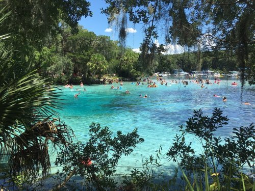 A vibrant blue spring surrounded by lush greenery, with people swimming and relaxing in the water on a sunny day.