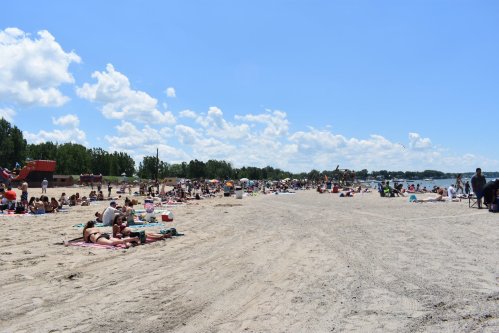A crowded beach on a sunny day, with people sunbathing and enjoying the outdoors under a blue sky.