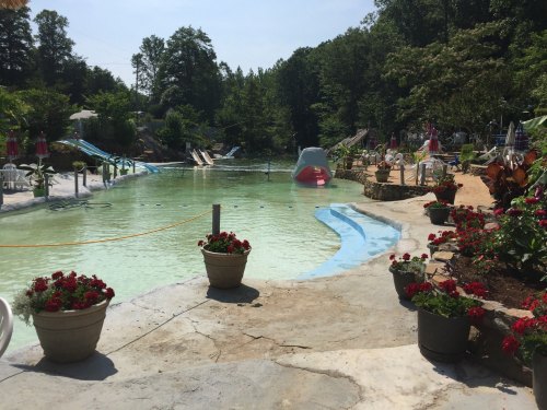 A sunny pool area with water slides, surrounded by greenery and flower pots, inviting relaxation and fun.