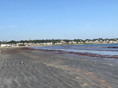 A sandy beach with low tide, scattered seaweed, and distant houses under a clear blue sky.