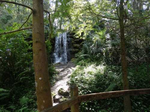 A serene waterfall cascades down rocks, surrounded by lush greenery and trees in a tranquil forest setting.