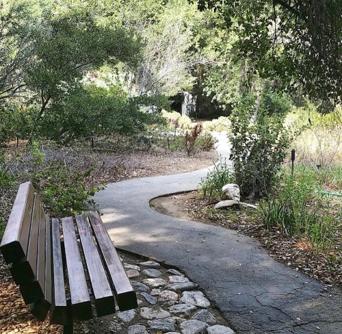 A winding path through a lush garden, with a wooden bench in the foreground and greenery surrounding the trail.