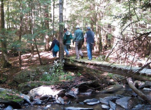 Three people walking on a wooden bridge over a stream in a forested area, surrounded by trees and rocks.