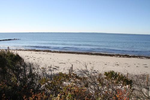A serene beach scene with calm blue water, sandy shore, and sparse vegetation under a clear sky.