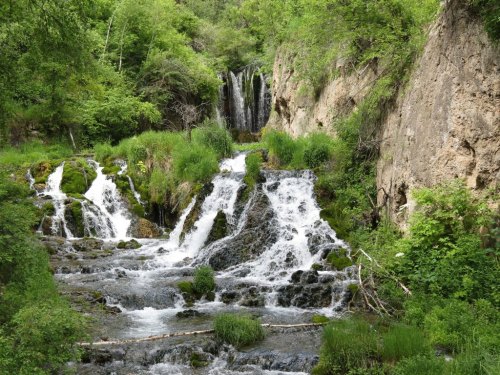 A serene waterfall cascading over rocks, surrounded by lush greenery and vibrant vegetation.