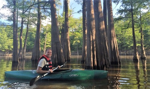A person in a kayak paddles through calm water surrounded by tall cypress trees.