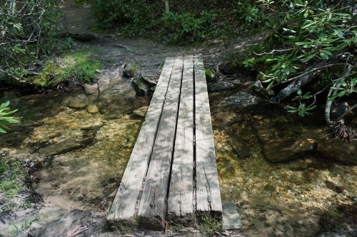 A wooden bridge spans a shallow, clear stream surrounded by lush greenery and rocks.