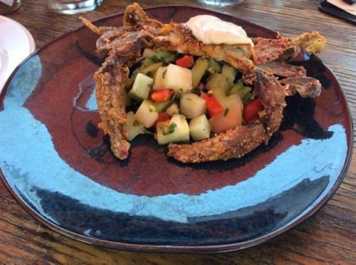 A plate featuring a fried crab with a fresh vegetable salad inside, served on a blue dish.