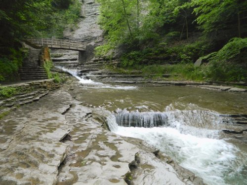 A serene landscape featuring a flowing stream, rocky banks, and a wooden bridge surrounded by lush greenery.