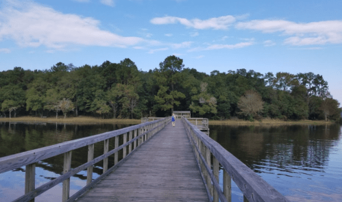 A wooden pier extends into calm water, surrounded by trees under a blue sky with scattered clouds.