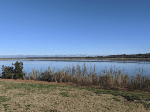 A serene lake view with calm water, surrounded by tall grasses and distant mountains under a clear blue sky.