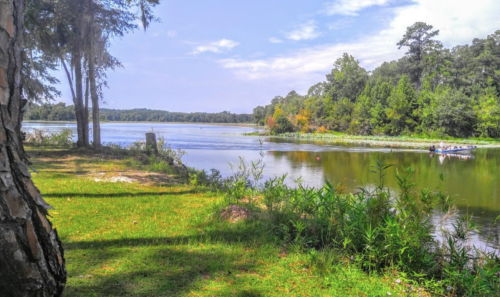 A serene lake scene with lush greenery, trees, and a small boat gliding across the water under a clear blue sky.