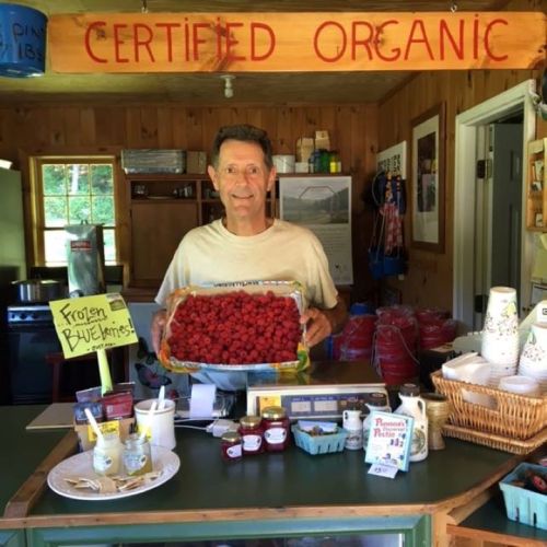 A man holds a tray of fresh raspberries at a rustic market labeled "Certified Organic."