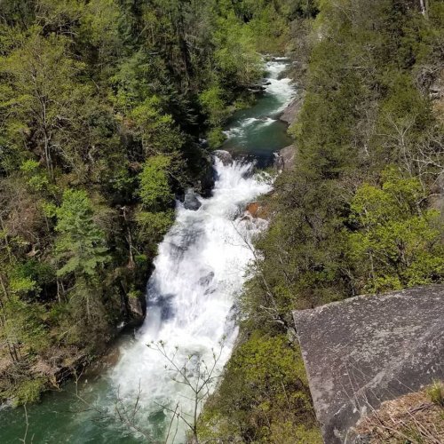 A scenic view of a waterfall cascading into a river, surrounded by lush green trees and rocky terrain.