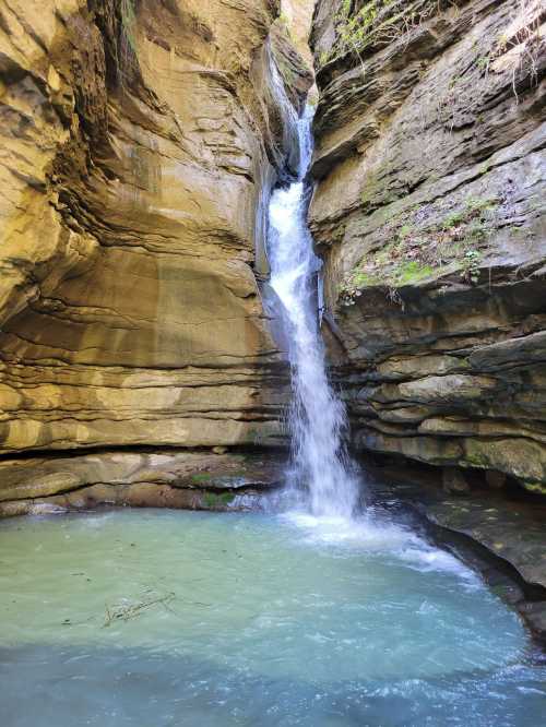 A serene waterfall cascading down rocky cliffs into a clear blue pool below, surrounded by lush greenery.