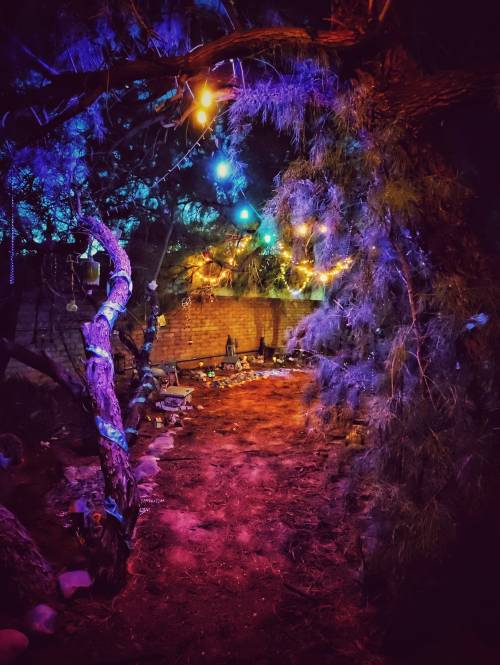 A serene path through trees adorned with colorful lights, creating a magical atmosphere in a dimly lit setting.