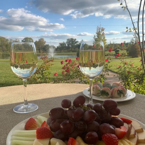 Two glasses of white wine sit on a table with a fruit platter, overlooking a scenic garden with a fountain and roses.