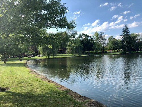 A serene park scene featuring a calm pond, lush greenery, and a clear blue sky with scattered clouds.