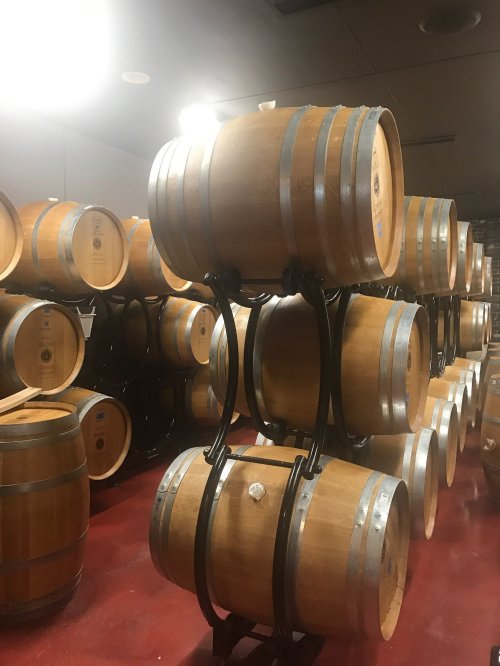 A wine cellar filled with stacked wooden barrels on metal racks, illuminated by soft overhead lighting.