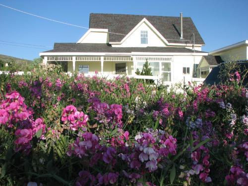 A charming white house with a porch, surrounded by vibrant pink and purple flowers under a clear blue sky.