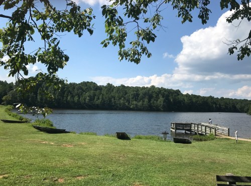 A serene lake surrounded by greenery, with a wooden dock extending into the water under a blue sky with clouds.