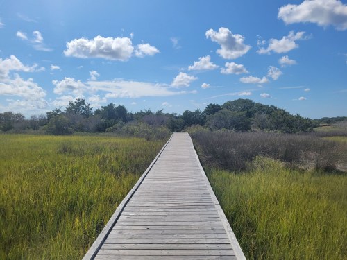 A wooden boardwalk leads through lush green grass and shrubs under a bright blue sky with fluffy clouds.