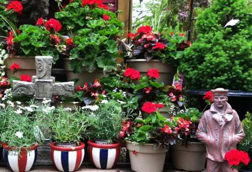 A vibrant display of red flowers in pots, with a stone cross and a statue of a man among the greenery.