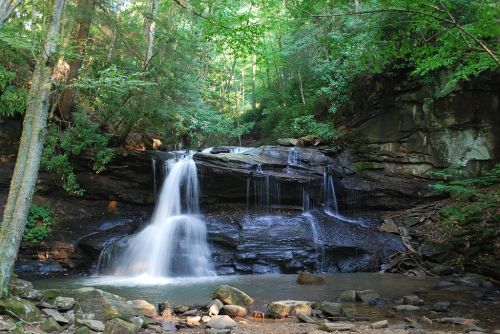 A serene waterfall cascades over rocks into a calm pool, surrounded by lush green trees and foliage.