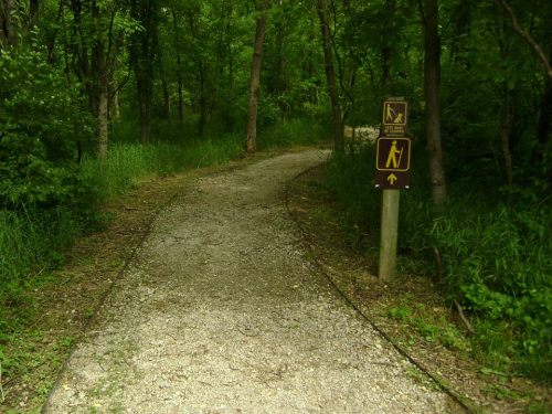 A winding gravel path through a lush green forest, with signs indicating hiking trails ahead.