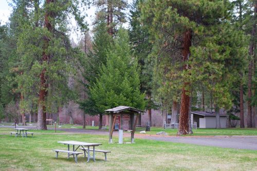 A peaceful park scene with tall trees, picnic tables, and a small information kiosk along a pathway.