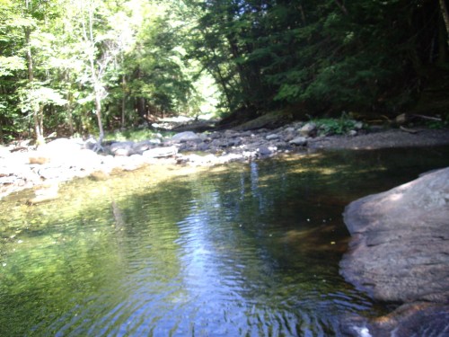 A serene river flows through a lush green forest, with smooth rocks lining the water's edge under dappled sunlight.