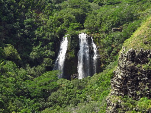 A lush green landscape featuring a cascading waterfall surrounded by dense foliage and rocky cliffs.