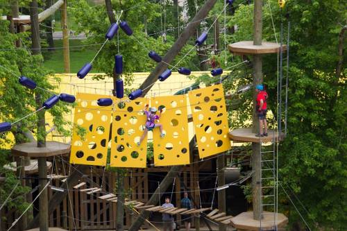 A colorful climbing structure with a cheese-like design, surrounded by trees and people engaging in outdoor activities.